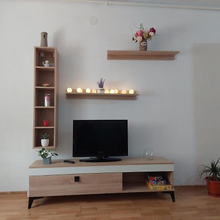 Apartament Ambrus Сигишоара Экстерьер фото