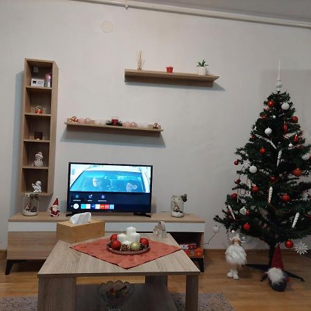 Apartament Ambrus Сигишоара Экстерьер фото