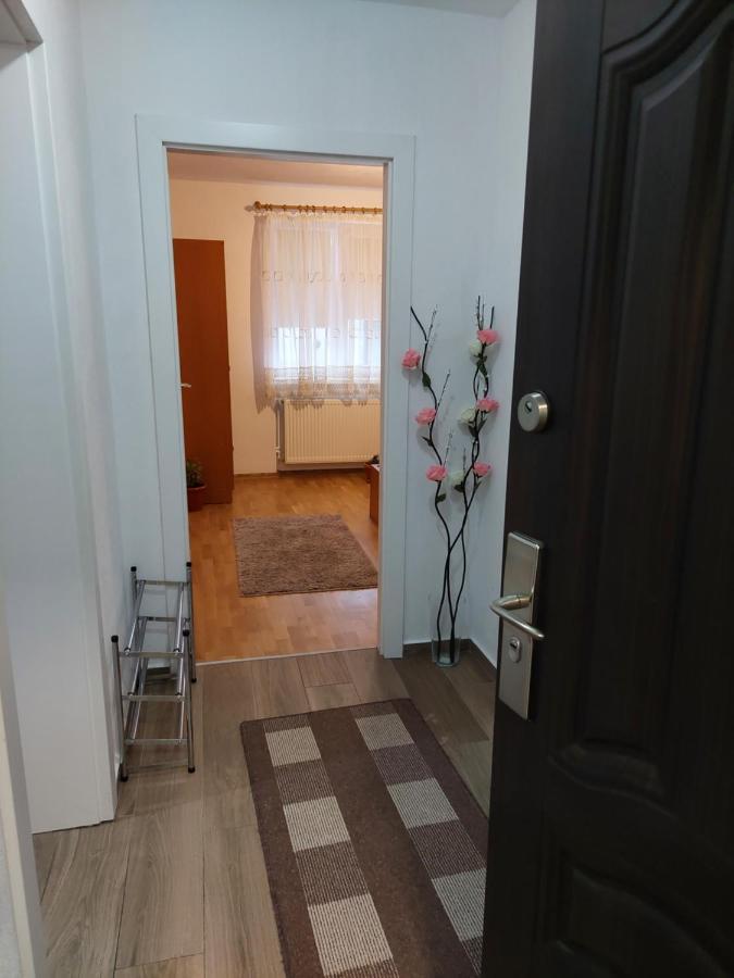 Apartament Ambrus Сигишоара Экстерьер фото