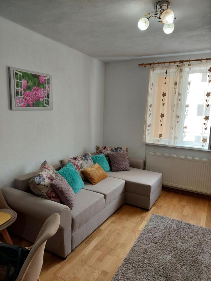 Apartament Ambrus Сигишоара Экстерьер фото