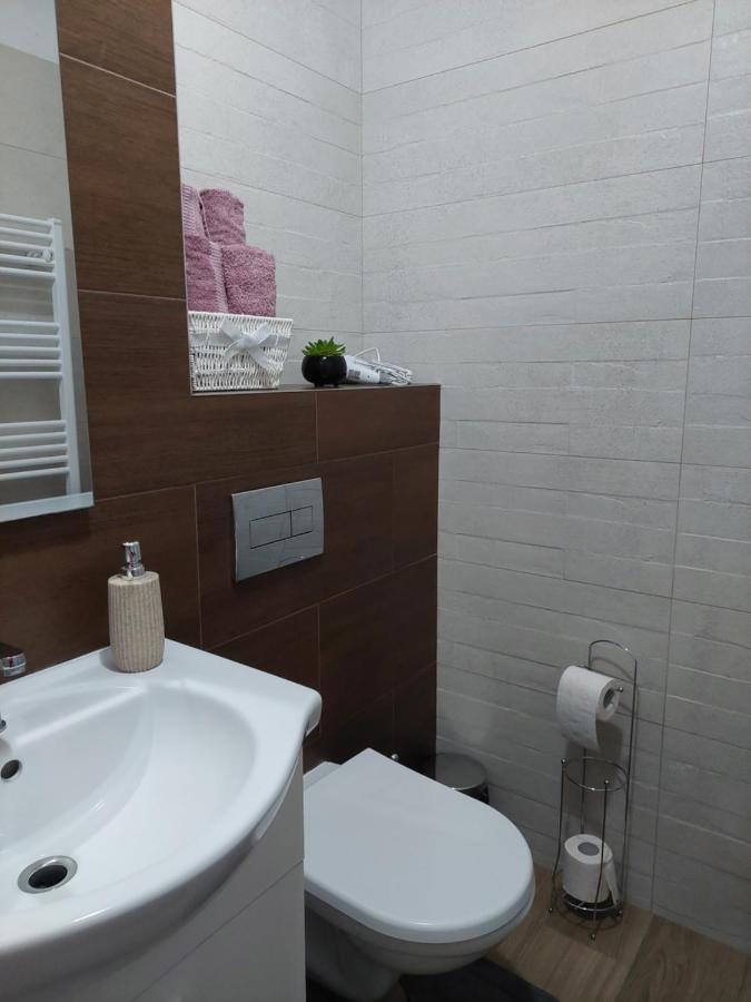 Apartament Ambrus Сигишоара Экстерьер фото