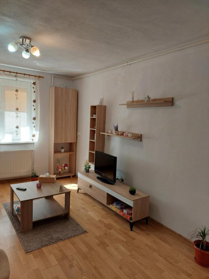 Apartament Ambrus Сигишоара Экстерьер фото