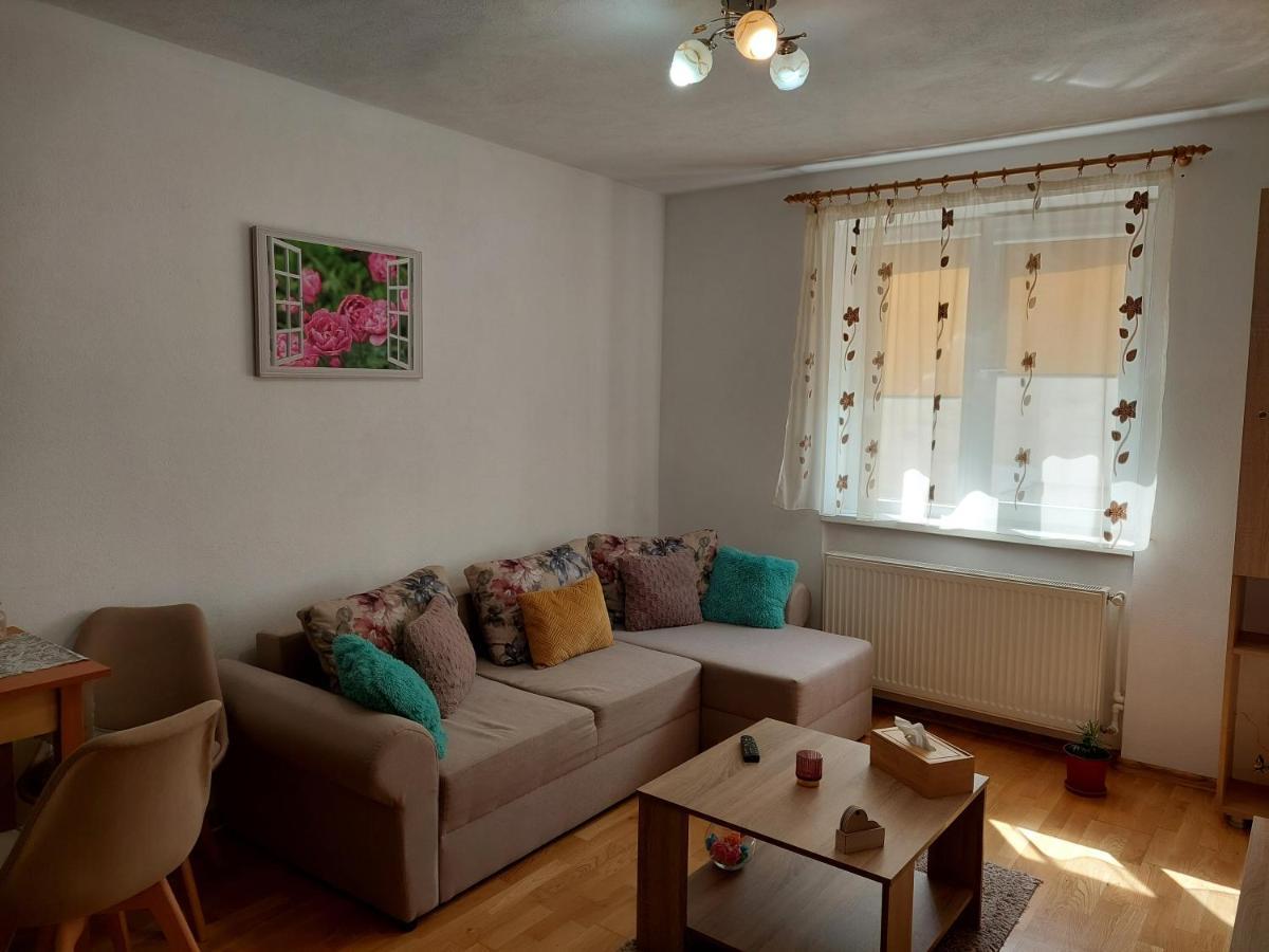 Apartament Ambrus Сигишоара Экстерьер фото