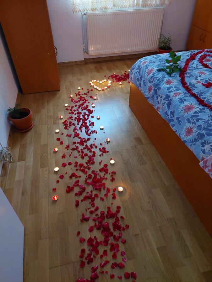 Apartament Ambrus Сигишоара Экстерьер фото