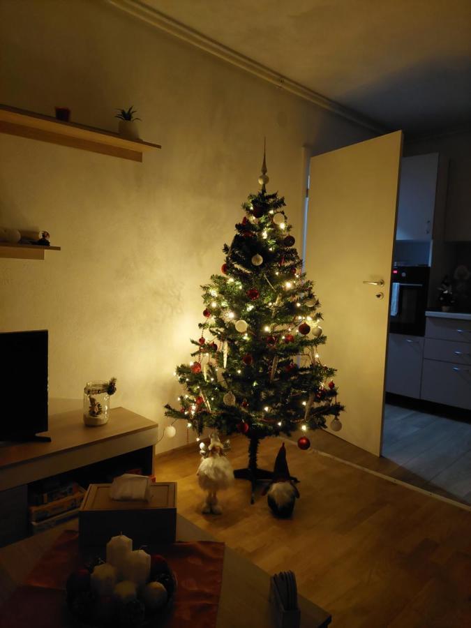 Apartament Ambrus Сигишоара Экстерьер фото